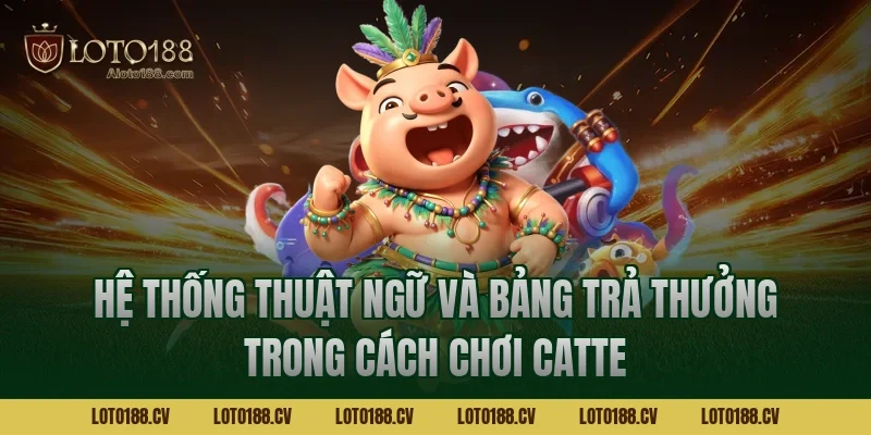 Hệ thống thuật ngữ và bảng trả thưởng trong cách chơi catte