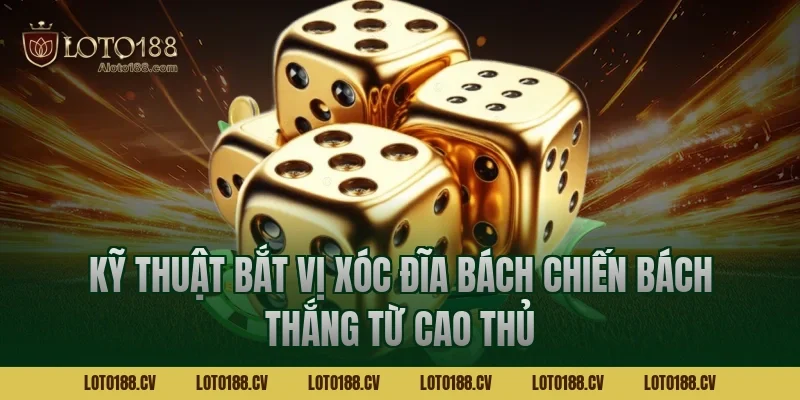 Kỹ thuật bắt vị xóc đĩa bách chiến bách thắng từ cao thủ