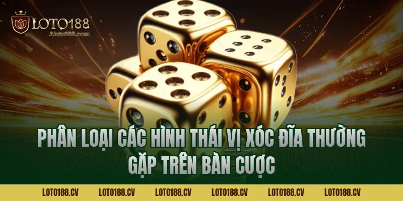Phân loại các hình thái vị xóc đĩa thường gặp trên bàn cược